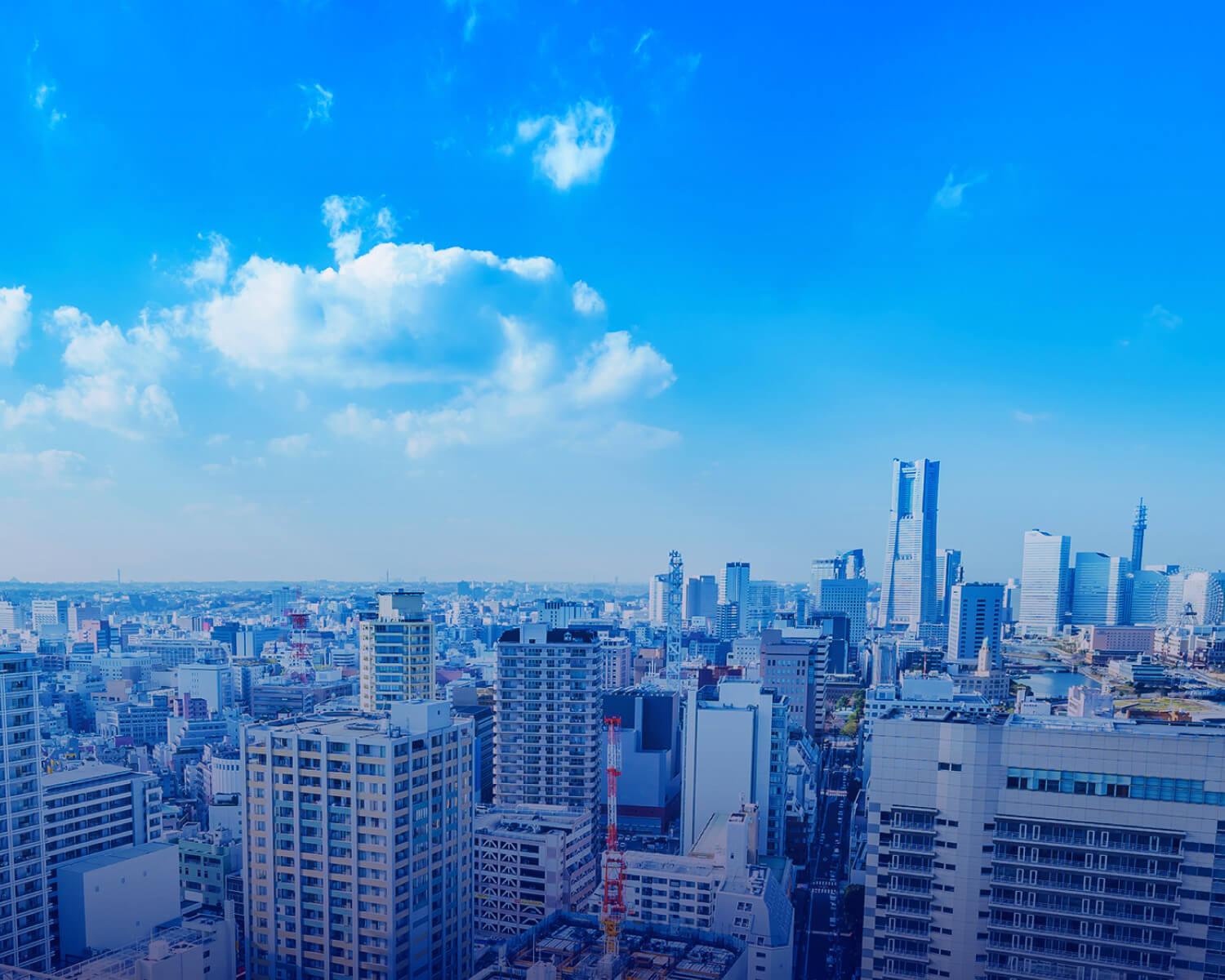 ビジョン・エリア紹介